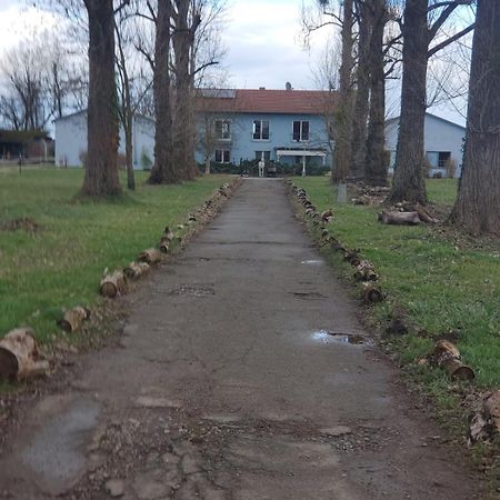 Grosse 3 Zi Wohnung Auf Der Pferde Farm Lahr  Buitenkant foto