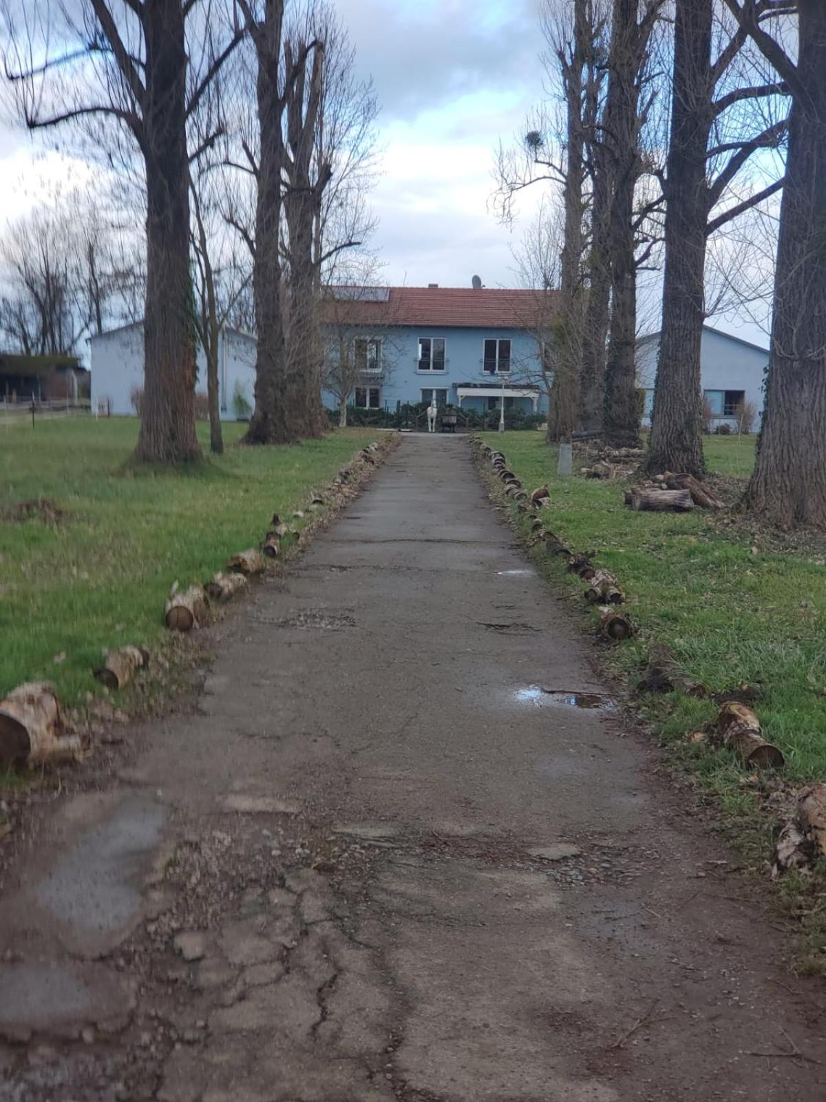 Grosse 3 Zi Wohnung Auf Der Pferde Farm Lahr  Buitenkant foto