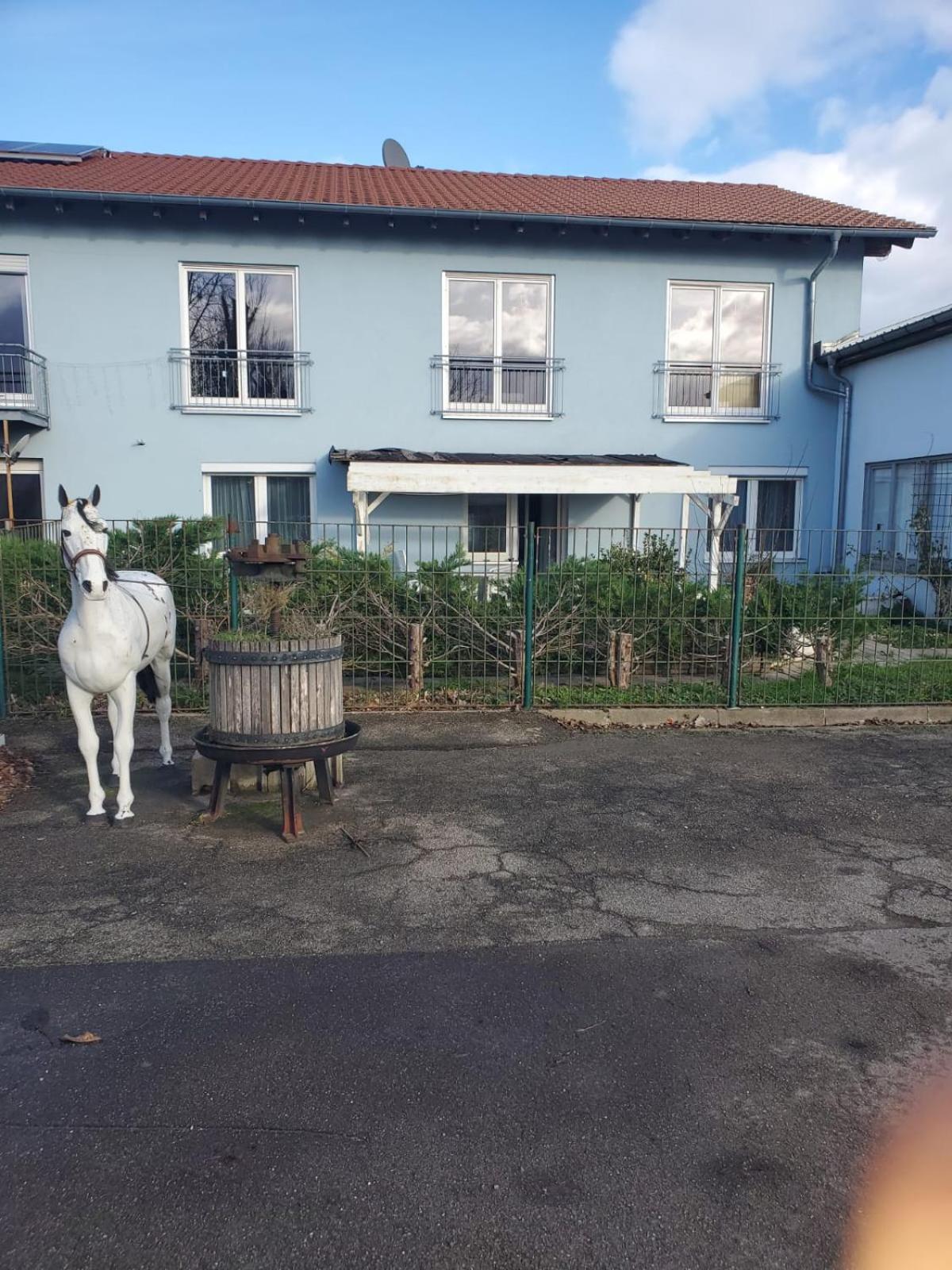 Grosse 3 Zi Wohnung Auf Der Pferde Farm Lahr  Buitenkant foto